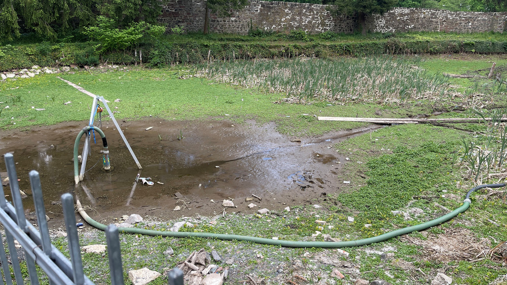 Der Schulteich wird gerade saniert - und hat kein Wasser. 