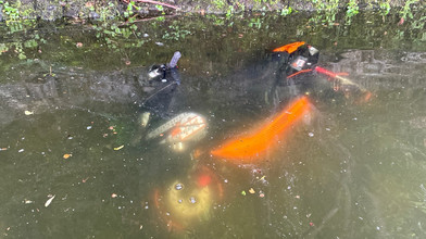 Roller im Affolderner See: Das droht dem Fahrer