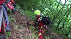28 Stunden in Abhang gefangen - Spektakuläre Rettung von Beagle "Tete"