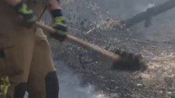 Hessen: Feuerwehr kämpft bei Hitze und Wind gegen Waldbrände