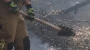 Hessen: Feuerwehr kämpft bei Hitze und Wind gegen Waldbrände