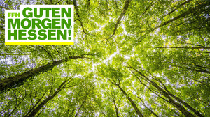 Für die Umwelt: Mit MyClimate CO2 kompensieren