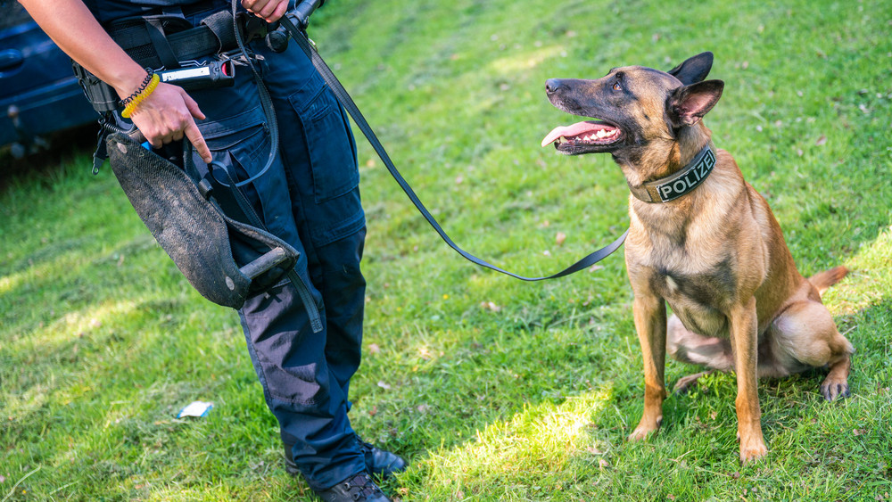 Letztlich kam der Polizeihund zum Einsatz und überwältigte den 48-Jährigen (Symbolbild).