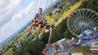 Ochsenfest, Weinfestival, Bauernhof-Tag: Das ist los am Wochenende