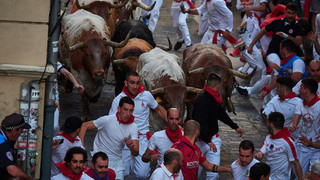 Stierhatz im spanischen Pamplona: Läufer fordern das Schicksal heraus