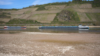 Deutscher Städtetag ruft wegen Trockenheit zum Wassersparen auf