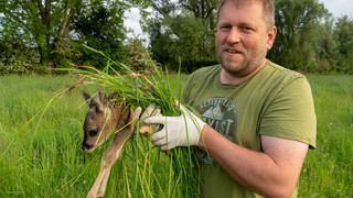 Erste Rehkitzrettung der Saison in Hessen: Wärmebilddrohnen im Einsatz