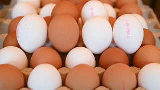 Eier auch in Hessen knapper und teurer - Entwarnung vom Bauernverband