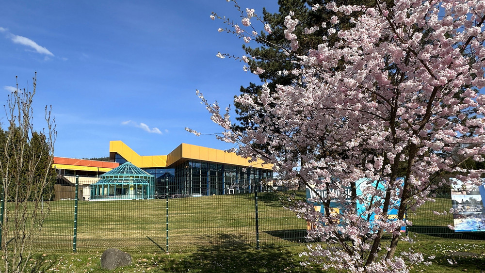 Die Spessart Therme ist Dreh- und Angelpunkt des Kurbetriebs in Bad Soden-Salmünster. 