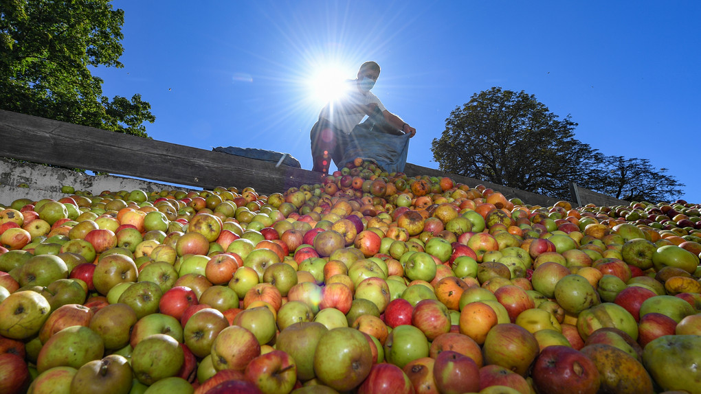 Apfelzeit in Hessen: Rezepte, Tipps und Ideen