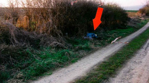 Babyleiche aus Büdingen: 100 neue DNA-Proben im Cold Case Sabrina