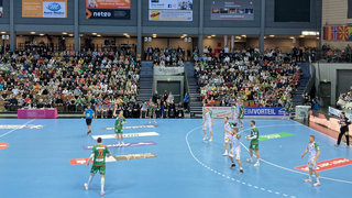 HSG Wetzlar enttäuscht - Mittelhessen verlieren 26:30 gegen Erlangen