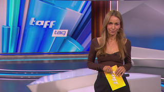 "taff" Tag vom 4.3.2026: Finnwal strandet im Hafenbecken von Wismar