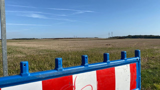 Baustopp-Urteil: Pohlheimer Bürgermeister will Feldlerchen umsiedeln