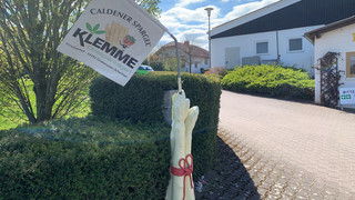 Auch in Nordhessen wird wieder regionaler Spargel verkauft