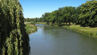 Münster: Betrunkener in der Gersprenz festgenommen