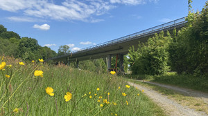 Zeller Brücke auf B45 im Odenwald: Neubau in Rekordzeit gefordert