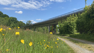 Zeller Brücke auf B45 im Odenwald: Neubau in Rekordzeit gefordert