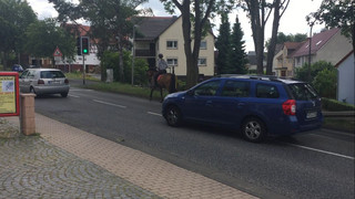 Pferde im Straßenverkehr: Fußgängerweg ist tabu