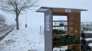 Weihnachts-Deko "to go": Tannenzweige zum Mitnehmen in Schauenburg