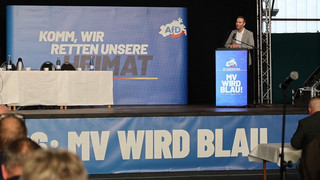 Mecklenburg-Vorpommern: Leif-Erik Holm ist AfD-Ministerpräsidentenkandidat