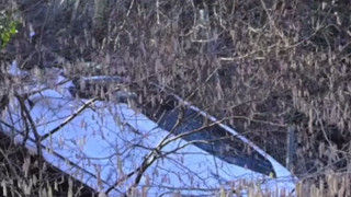 Bodenseekreis: Schwerer Unfall bei Überlingen – Ein Toter