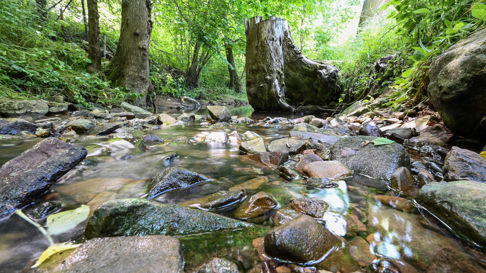 Die Trockenheit hat die Wasserstände der Bäche vielerorts sinken lassen 