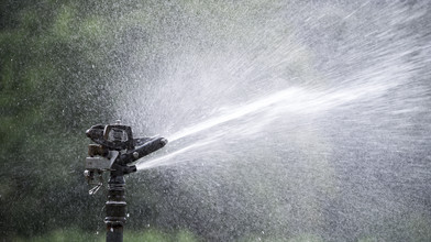 Wassernotstand wird aufgehoben: Gießen wieder erlaubt