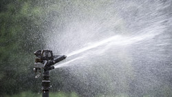Wassernotstand wird aufgehoben: Gießen wieder erlaubt