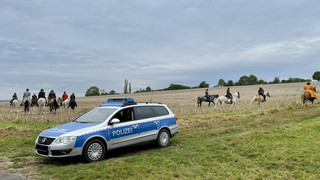 Entlaufene Galloway-Rinder: Landwirt soll über 350.000 Euro zahlen