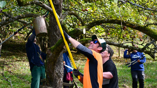 Gemeinsam anpacken: Pflegezonentag in der Rhön