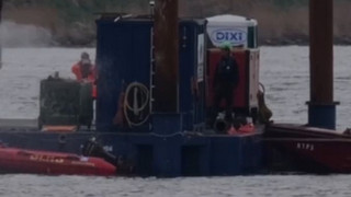 Tierärztin: Wal wird am Samstag nicht mehr transportiert