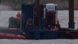 Tierärztin: Wal wird am Samstag nicht mehr transportiert