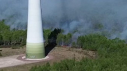 Bei Jüterbog: Waldbrand auf mehr als 110 Hektar ausgebreitet