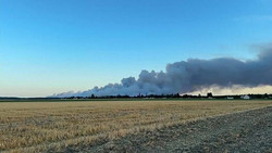 Waldbrand südlich von Paris: Feuerwehr im Großeinsatz