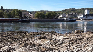 Gütertransport gefährdet: Rhein bald nicht mehr durchgängig befahrbar