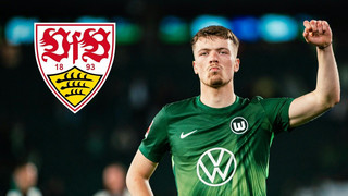 25 Millionen: Stuttgart holt Pejcinovic aus Wolfsburg