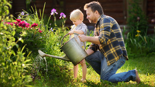 Garten-Mythen: Experte Olli Simon klärt auf