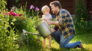Garten-Mythen: Experte Olli Simon klärt auf