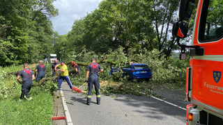 Baum kracht auf B54 bei Wiesbaden auf Auto - Fahrerin unter Schock