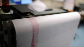 Erdbeben an türkischer Westküste - Eine Tote