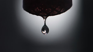 Grundwasser in Hessen hat sich noch nicht vom trockenen Sommer erholt