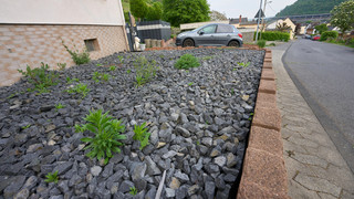 Neues Naturschutzgesetz: Hessen verbietet Schottergärten