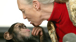 Jane Goodall - ein Leben für die Schimpansen
