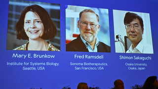 Medizin-Nobelpreis für Immunforscher aus Japan und den USA