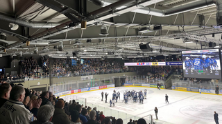Finalserie wieder ausgeglichen: Huskies verlieren in Regensburg 2:4