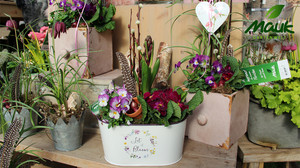 Punkte sammeln & 500 € für Pflanzen gewinnen