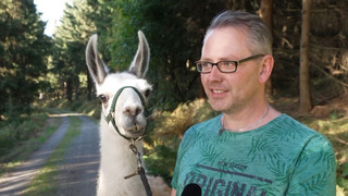 Happy-End bei Lama-Suche: Sportschüler helfen beim Einfangen