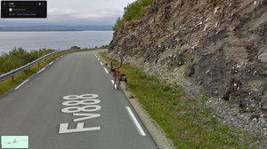 Google Street View: Die 17 verrücktesten Fotos