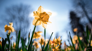 Das Wetter in Hessen am Wochenende: Milde Temperaturen und Sonne